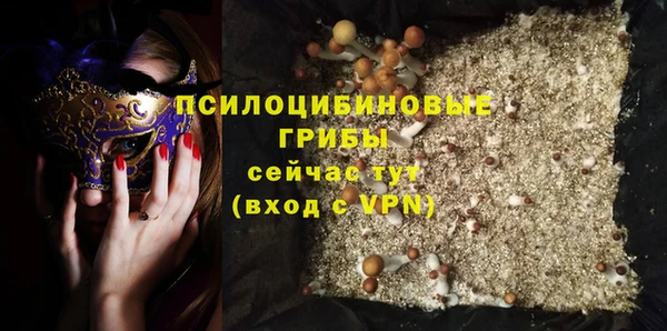 spice Белокуриха
