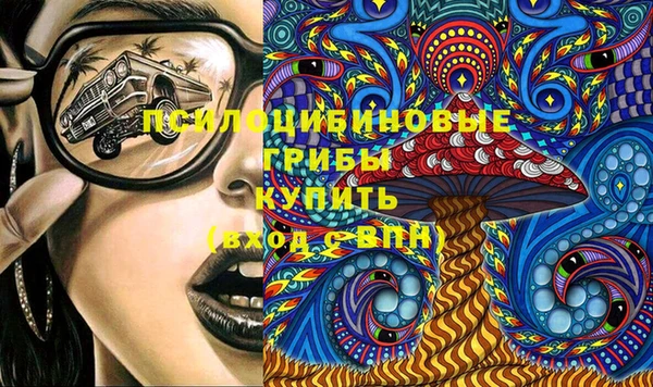 прущие грибы Волосово