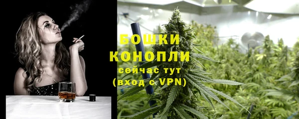 spice Белокуриха